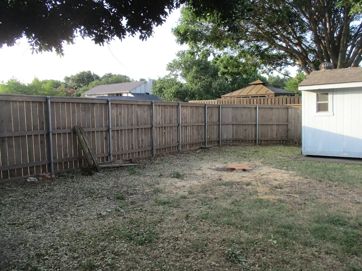 Cleared yard after professional tree removal in Shelbiana